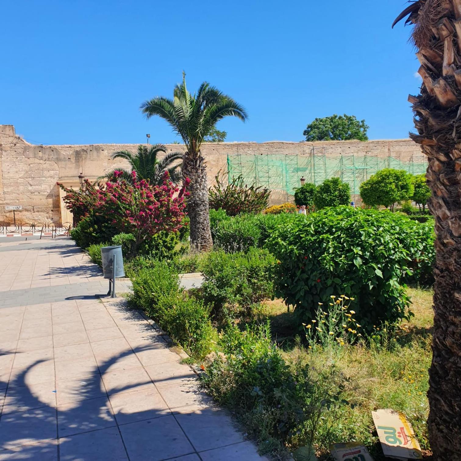 Riad Golf Stinia 2 مكناز المظهر الخارجي الصورة