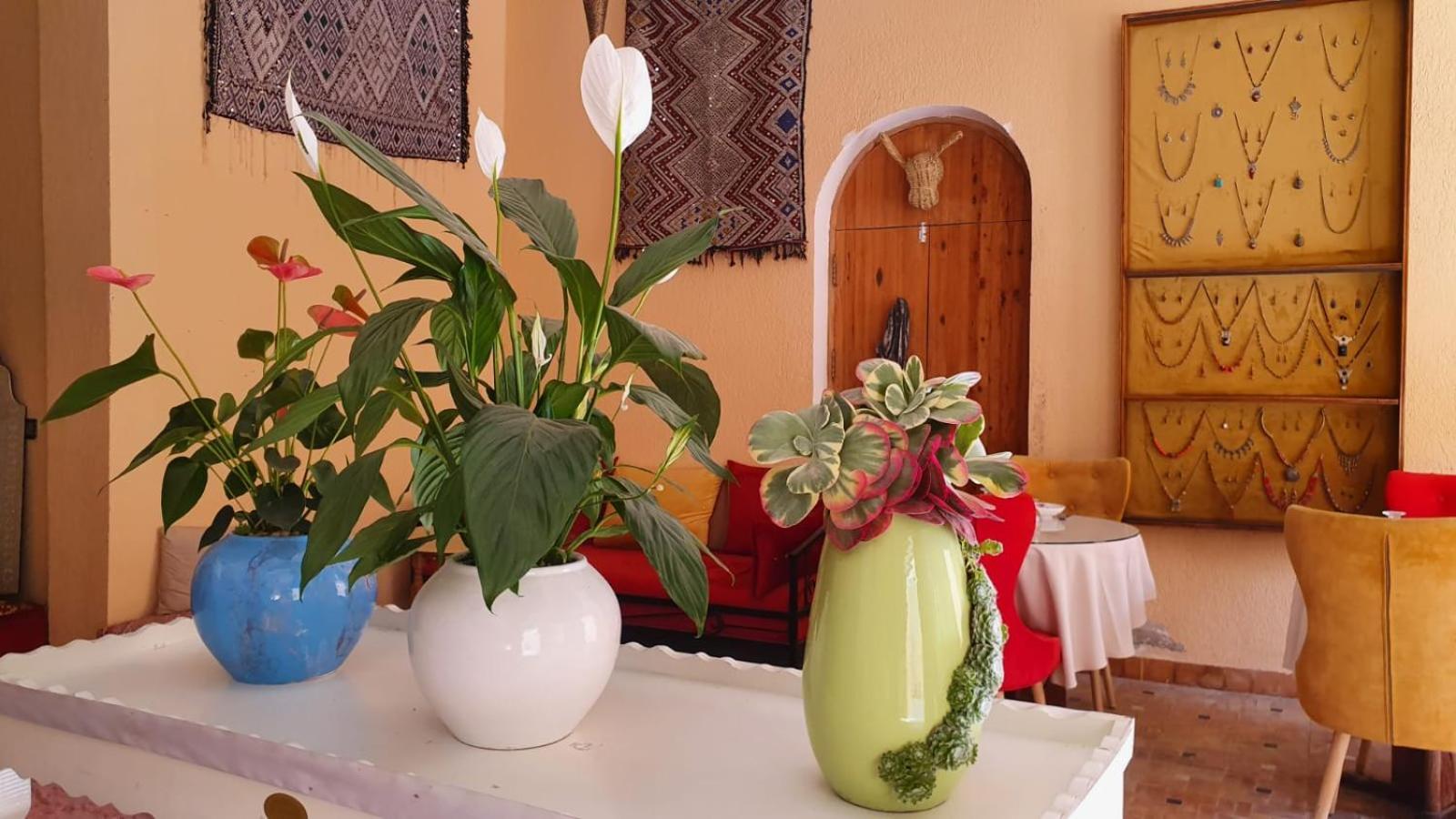 Riad Golf Stinia 2 مكناز المظهر الخارجي الصورة